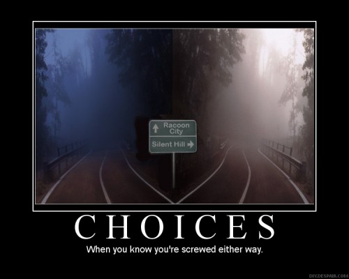 Picture of fork in a road with one sign saying "Raccoon City" and one saying "Silent Hill". Picture from the Web. 